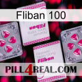 Fliban 100 33